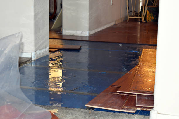 Professional Basement Flood Cleanup technician working in Logan, WV